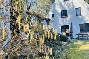 KP a Anfrage  - oben am Hang  - mit Förderpotential  2 Familienhaus im HH Eißendorfer Villenviertel – Grosse str 00, 21075 Hamburg – Vorschaubild 7