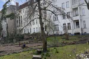Im Dachgeschoss einer Altbauperle im Herzen von Pankow! – Breite Straße 16a, 13187 Pankow (Ortsteil), Berlin – Vorschaubild 38