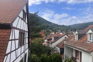 Altbaucharme inmitten der Heidelberger Altstadt – Die vollständige Adresse der Immobilie erhältst du vom Anbieter., 69117 Altstadt, Heidelberg – Vorschaubild 13
