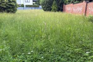 Preisreduzierung!! Zweifamilienhaus mit großem Grundstück und drei Garagen! Video!! – Bergstraße 6 A, 40699 Erkrath – Vorschaubild 7