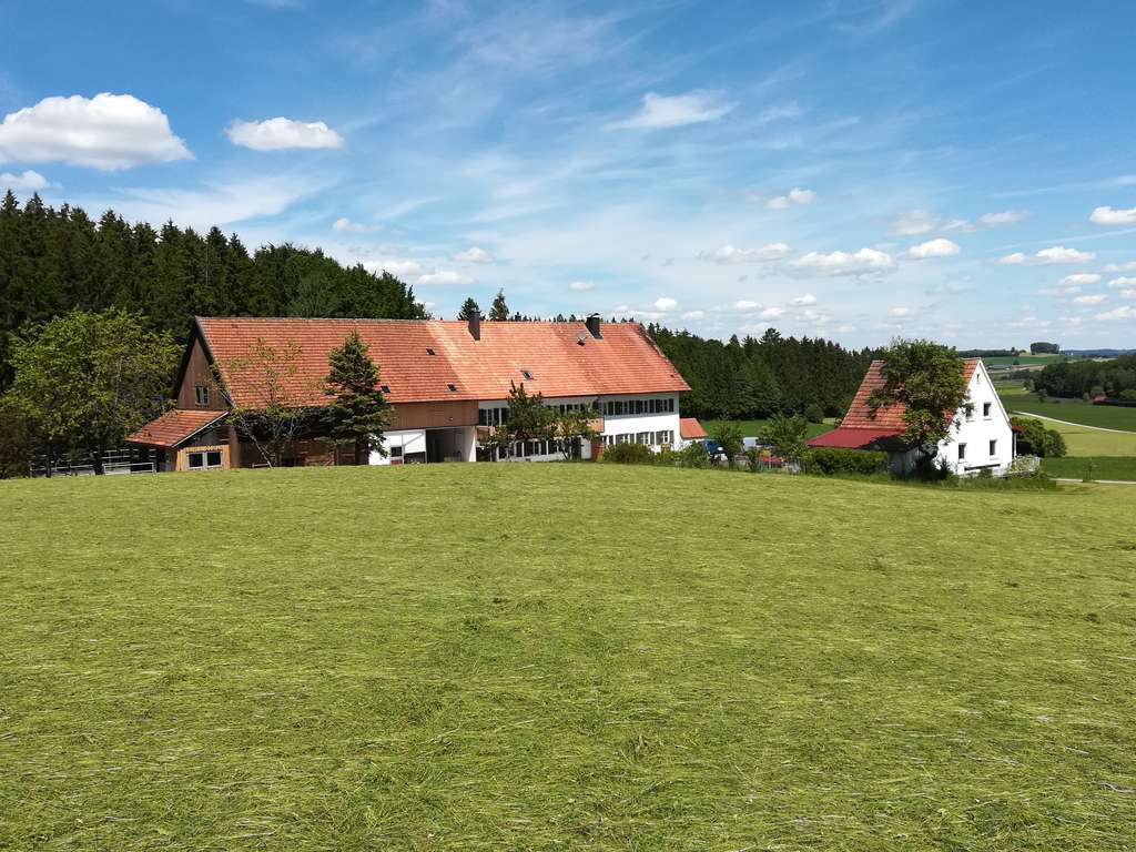 Immobilie in Breitenbrunn - Bauernhaus/Bauernhof kaufen im Allgäu, absolute Alleinlage mit ca. 11 Hektar Wiesen für Mensch & Tie - Bild 4