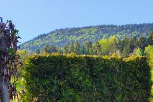 In der Ferienregion Zellertal: Whs., gedämmt, saniert, sofort verfügbar, ohne Provision – Cham (Kreis) – Vorschaubild 14