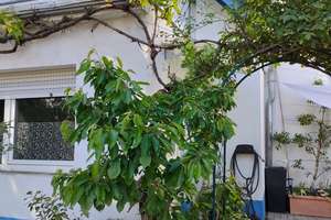 Viel Platz für den Alltag: Großzügiges Einfamilienhaus in Mainz-Laubenheim – Vordere Talstraße 5, 55130 Laubenheim, Mainz – Vorschaubild 24