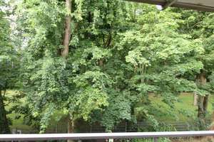 Wohnung in ruhiger Lage mit Tageslichtbad und Balkon – Westring 27A, 46242 Stadtmitte, Bottrop – Vorschaubild 11