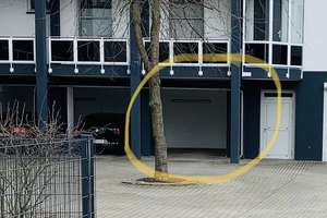 Exklusive 3-Zimmer-Wohnung im schönen Berlin-Westend – Preußenallee 3, 14055 Westend, Berlin – Vorschaubild 15