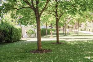 Schwabing Parkstadt: Gartenwohnung für Familien. – Die vollständige Adresse der Immobilie erhältst du vom Anbieter., 80807 Alte Heide-Hirschau, München – Vorschaubild 6