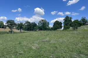 Idyllischer Pferdehof mit Potenzial – Oberdorfstraße 27, 69168 Rhein-Neckar-Kreis – Vorschaubild 29
