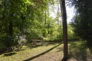 Property thumbnail 41