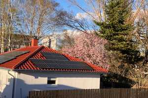Freundliches Einfamilienhaus im Grünen mit Garten – Berlin – Vorschaubild 3