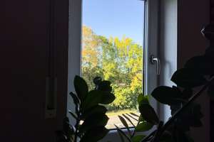 Lichtdurchflutetes Wohnjuwel m. Dachterrasse, Parkblick & direktem TG-Zugang – 93051 Kumpfmühl-Ziegetsdorf-Neuprüll, Regensburg – Vorschaubild 36