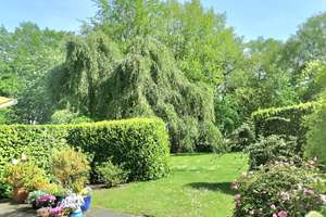 Property thumbnail 17