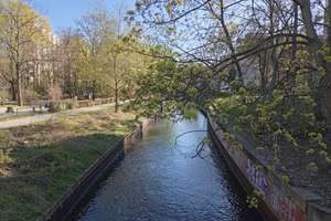 Wo Berlin durchatmet." - "2 Zimmer · Panke-Grünzug · Grenze Mitte/Wedding." – Kunkelstr 5,, 13347 Gesundbrunnen, Berlin – Vorschaubild 2