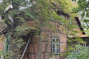 Charmantes Fachwerkhaus im Grünen – Geschwister-Scholl-Straße 18, 19249 Lübtheen – Vorschaubild 3