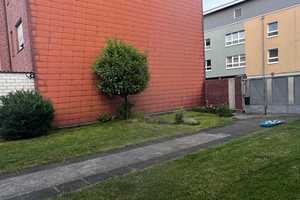 Wohnhaus mit Halle und drei sprintergeeigneten Garagen im Zentrum von Rheydt – Bendhecker str. 33, 41236 Mönchengladbach – Vorschaubild 2