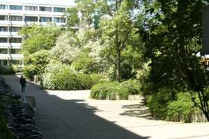 Zentrale 1-Zimmer Wohnung mit Balkon in München Haidhausen - ab 1.2.26 – Hochstraße 21a, 81669 Obere Au, München – Vorschaubild 1
