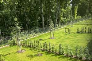 Property thumbnail 23