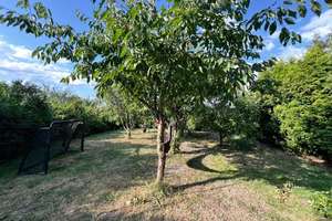Großzügiges Einfamilienhaus mit Einliegerwohnung direkt am Elbdeich in Hamburg Kirchwerder – Die vollständige Adresse der Immobilie erhältst du vom Anbieter., 21037 Kirchwerder, Hamburg – Vorschaubild 30