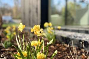Willkommen im Heidetrio - Wo Natur auf Design trifft! – Die vollständige Adresse der Immobilie erhältst du vom Anbieter., 6120 Dölau, Halle (Saale) – Vorschaubild 42