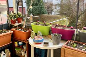 Property thumbnail 12