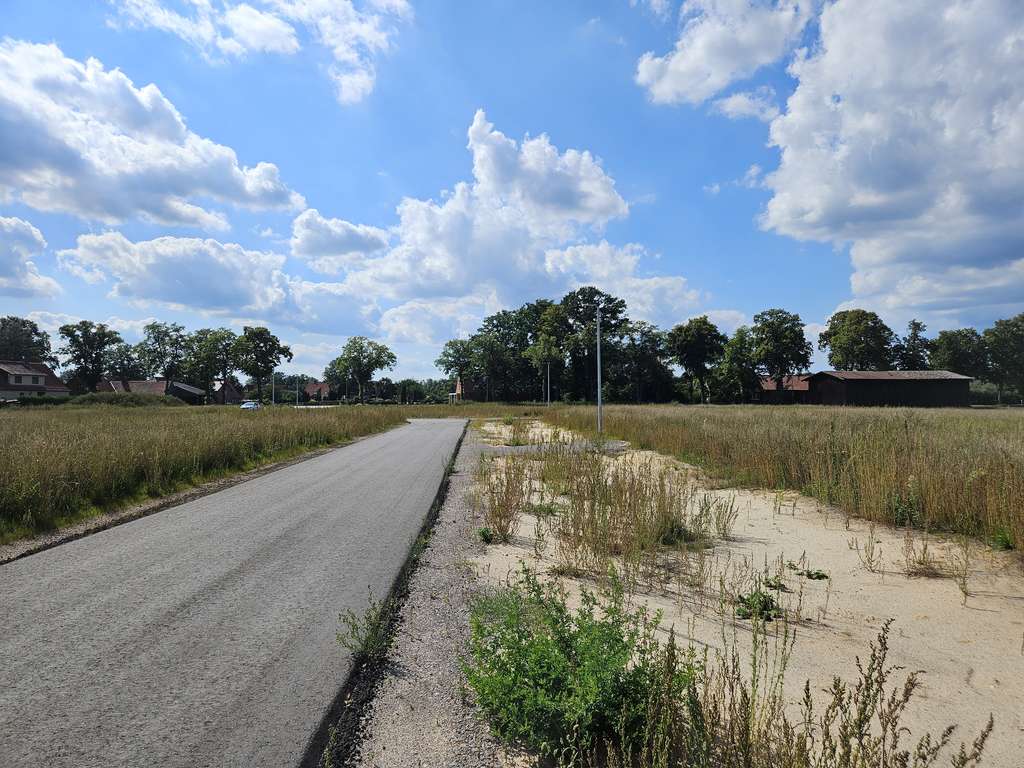 Immobilie in Müden (Aller) - Mit Grundstück, das Haus für alle Lebensphasen in Flettmar. - Bild 3
