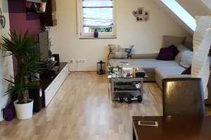 Nachmieter für freundliche 2,5-Zimmer-Dachterrassen-Wohnung in Seligenstadt-Froschhausen gesucht – Friedensstraße 2, 63500 Seligenstadt – Vorschaubild 2