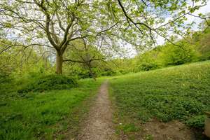 Leerstehende 2,5-Zimmer-Wohnung am Waldrand mit Balkon, Tiefgarage und viel Potenzial – Otto-Hahn-Platz 3, 69126 Emmertsgrund, Heidelberg – Vorschaubild 7