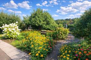 Property thumbnail 5