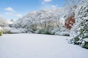 Property thumbnail 15