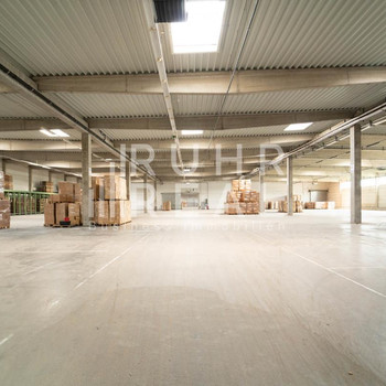 4.900 m² moderne Logistikfläche | Rampe | Pulheim | RUHR REAL