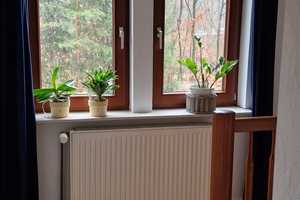 Einfamilienhaus in Alleinlage mit großem Grundstück und Wintergarten  – Krümmelstraße 55, 21502 Herzogtum Lauenburg (Kreis) – Vorschaubild 27