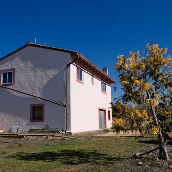 Schönes Haus mit Grundstück