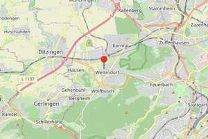 ::: Unbedingt anschauen I gr. Grundstück, Platz für Familien + Haustiere und mit viel Potential ::: – Die vollständige Adresse der Immobilie erhältst du vom Anbieter., 70499 Weilimdorf-Nord, Stuttgart – Vorschaubild 35