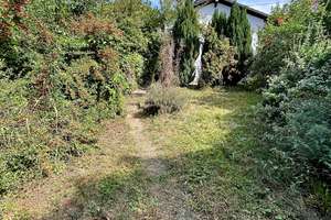 Einfamilienhaus in ruhiger Lage von Raumbach – Wiesenweg 4, 55592 Raumbach – Vorschaubild 12