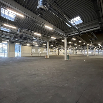 ca. 5.300 m² ebenerdige Hallenfläche provisionsfrei zu vermieten