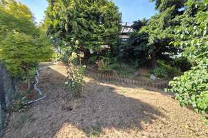 Traumbungalow mit ELW und Garten in ruhiger Sackgassenlage mit Garage und KFZ Stellplatz – 61130 Nidderau – Vorschaubild 19