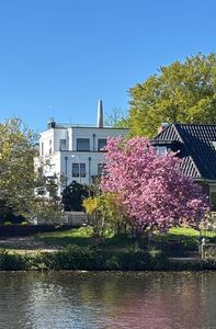 Architektenhaus am Alsterlauf! Über den Dächern. Über den Erwartungen.