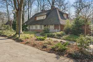 Property thumbnail 3