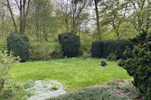 Property thumbnail 7