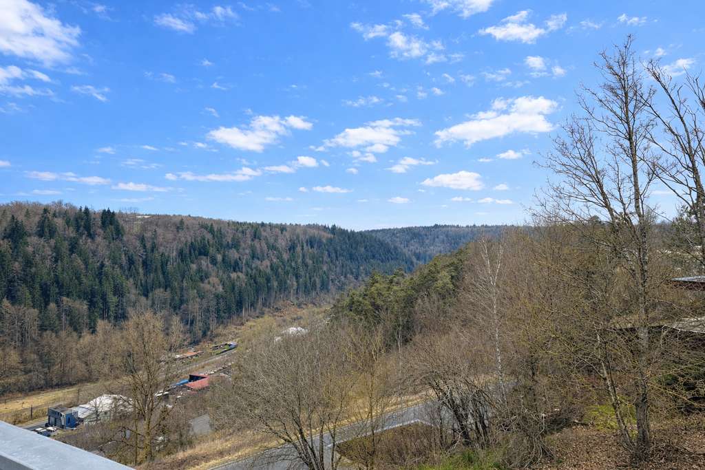 Immobilie in Wildberg - Terrassenwohnung mit Weitblick auf dem Wächtersberg in Wildberg - Bild 3