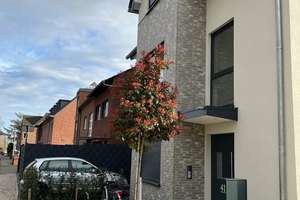 Modern wohnen, entspannt genießen – 3 Zimmer und Terrasse – Schützenstraße 41, 50126 Bergheim – Vorschaubild 13