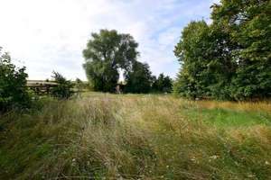 Auf 2.400m² Grundstück! Große Fachwerkhaushälfte zum Sanieren in idyllischer Feldrandlage... – Die vollständige Adresse der Immobilie erhältst du vom Anbieter., 38387 Twieflingen – Vorschaubild 9