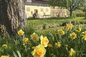 Modernisiertes Mehrfamilienhaus mit Nebengebäuden in idyllischer Lage mit 4,3 h großem Anwesen – Hetzendorf 3, 91282 Betzenstein – Vorschaubild 14