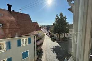 Wohn- & Geschäftshaus für Selbstentwickler – Die vollständige Adresse der Immobilie erhältst du vom Anbieter., 79346 Endingen am Kaiserstuhl – Vorschaubild 16