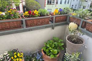 Property thumbnail 9