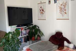 Exclusive voll möbilierte 1-Zimmer Wohnung, Balkon  Nähe Bhf Oberhausen f. Münchenpendler geeignet – Höchstetter Straße 20 b, 86154 Links der Wertach-Süd, Augsburg – Vorschaubild 8