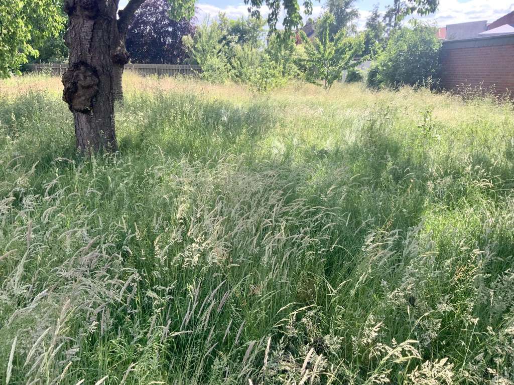 Immobilie in Beverstedt - Beverstedt! Spektakuläres Wohn-/Geeschäftshaus in exzellenter Lage! - Bild 3