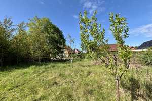 Modernes Zuhause trifft Naturparadies - EFH mit Erdwärme & Biotop auf großzügigem Grundstück – Grafschaft Bentheim (Kreis) – Vorschaubild 20