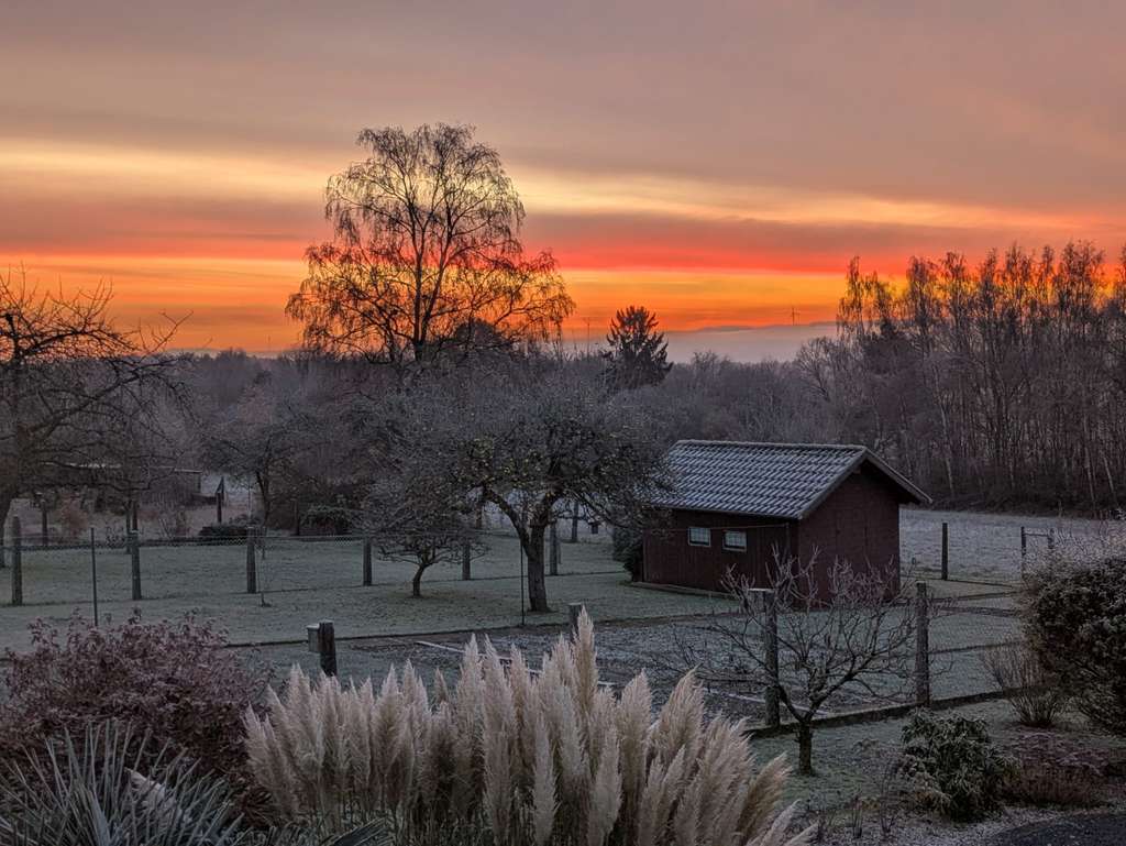 Immobilie in Schönenberg-Kübelberg - Freistehendes Einfamilienhaus in Feld- und Waldrandlage - Bild 3