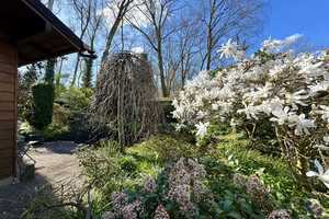 Gartenidylle trifft Wohnkomfort – Gepflegtes Reihenmittelhaus mit parkähnlichem Traumgarten & Teich – Recklinghausen (Kreis) – Vorschaubild 38