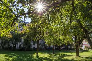 Wohnung mit Balkon zur Streuobstwiese im Innenhof – Further Straße 19, 9113 Schloßchemnitz, Chemnitz – Vorschaubild 4